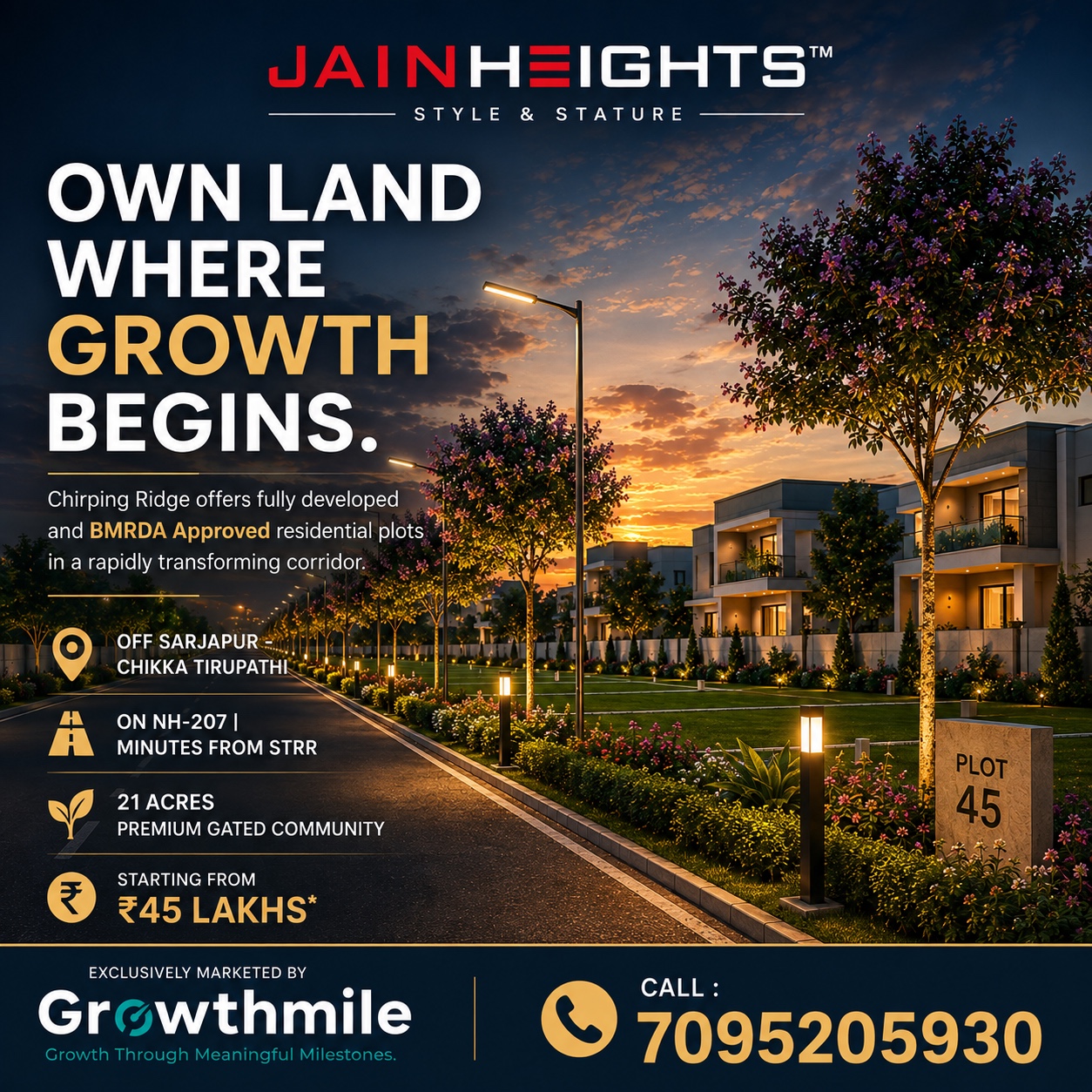 Chirping Ridge project marketing visual