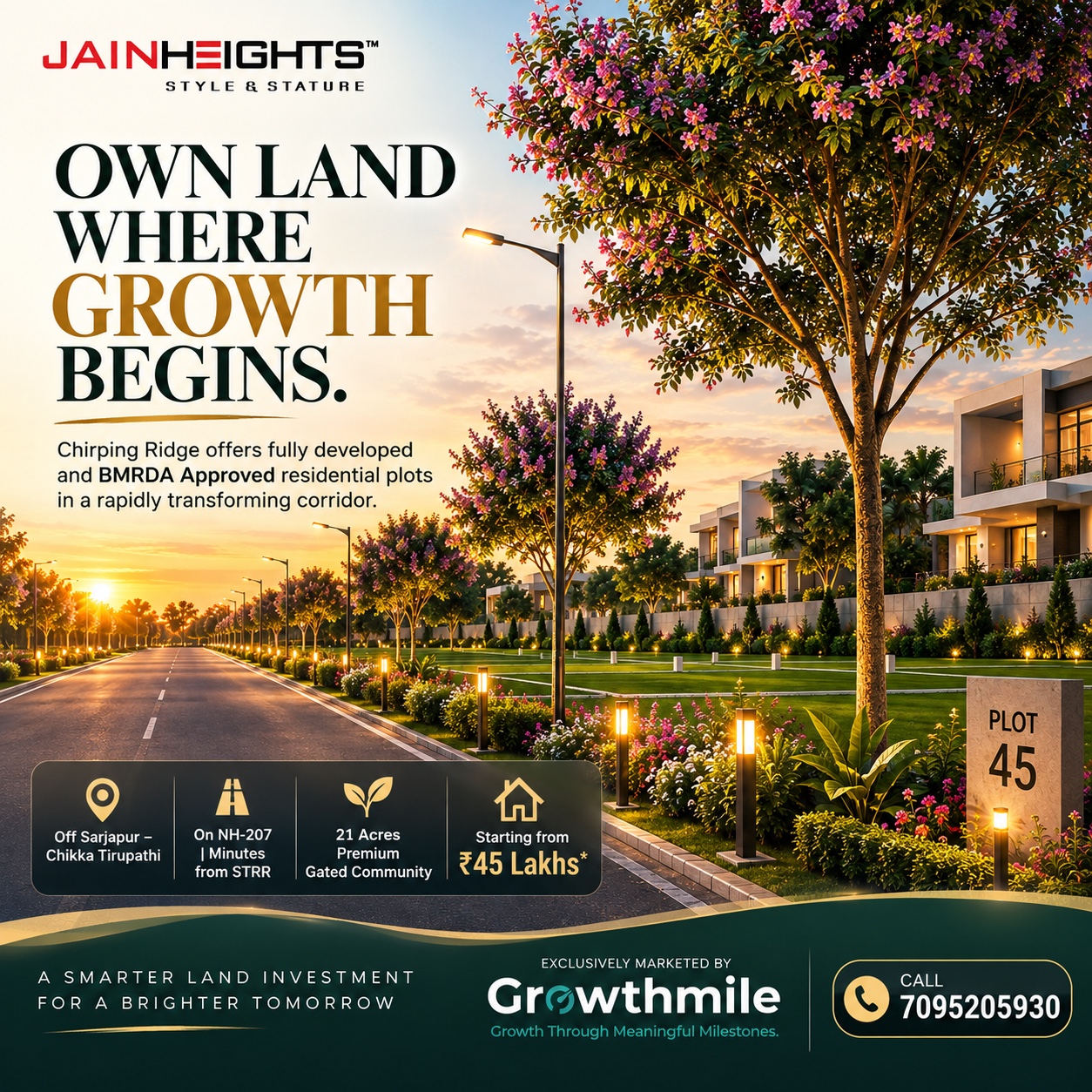 Chirping Ridge project marketing visual